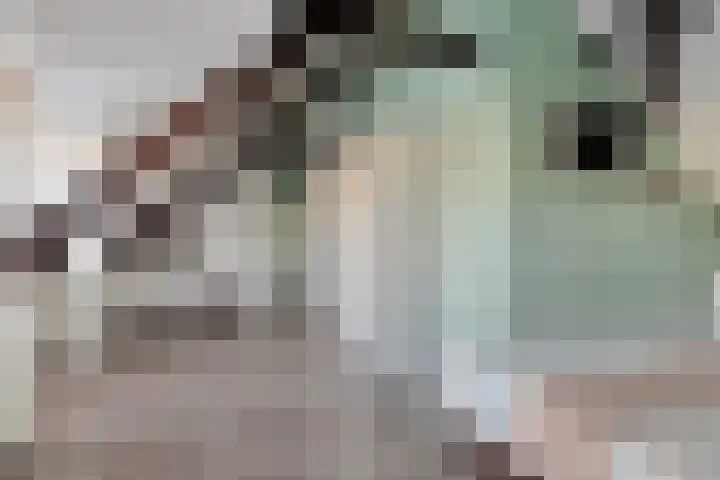 Stakenborgakker 3 Valkenswaard thumbnail 26