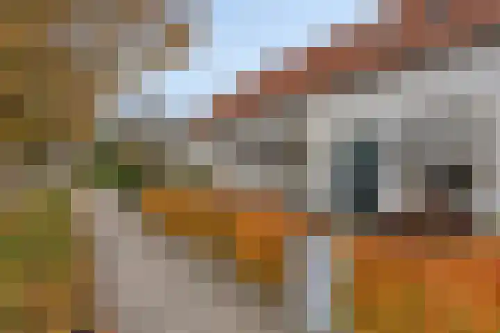 Stakenborgakker 3 Valkenswaard thumbnail 36