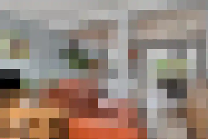 Stakenborgakker 3 Valkenswaard thumbnail 9