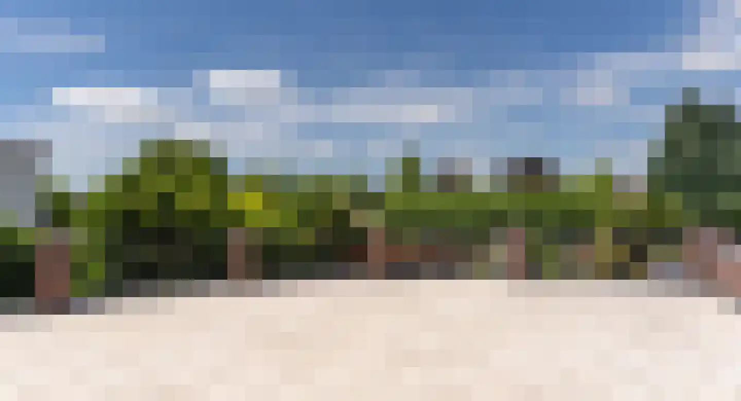 Stakenborgakker 48 Valkenswaard thumbnail 30