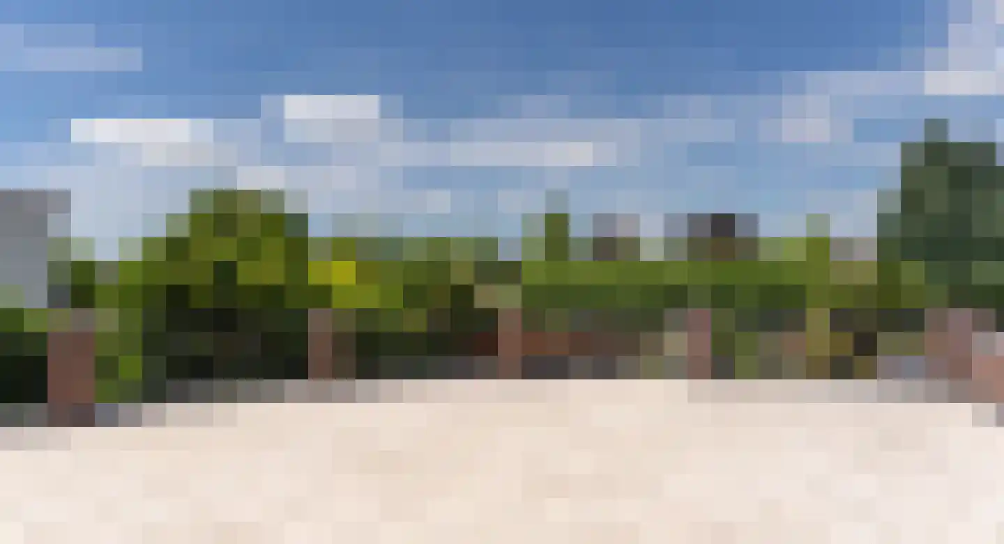 Stakenborgakker 48 Valkenswaard thumbnail 31