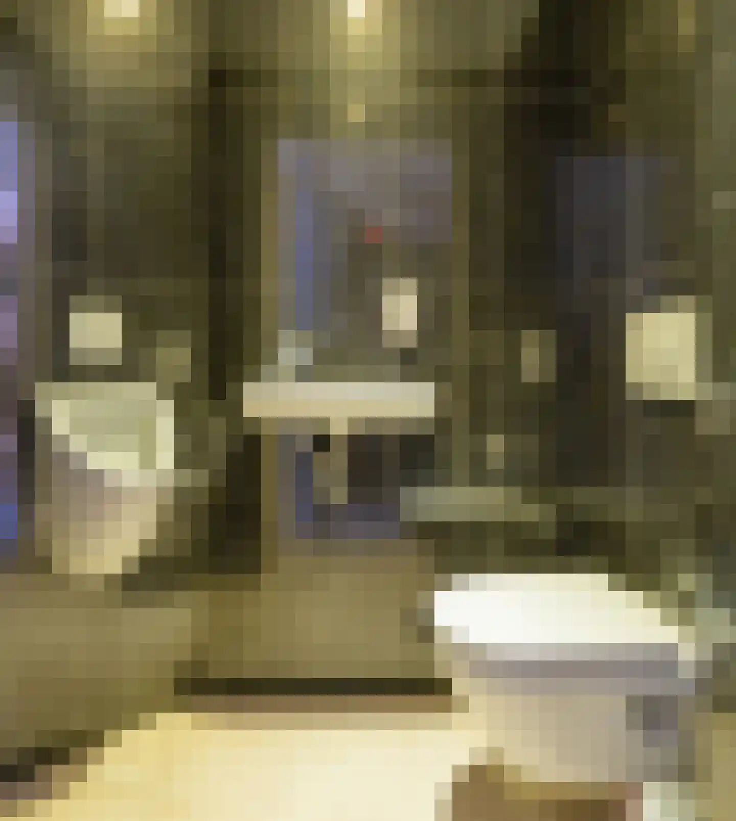 Stakenborgakker 48 Valkenswaard thumbnail 49