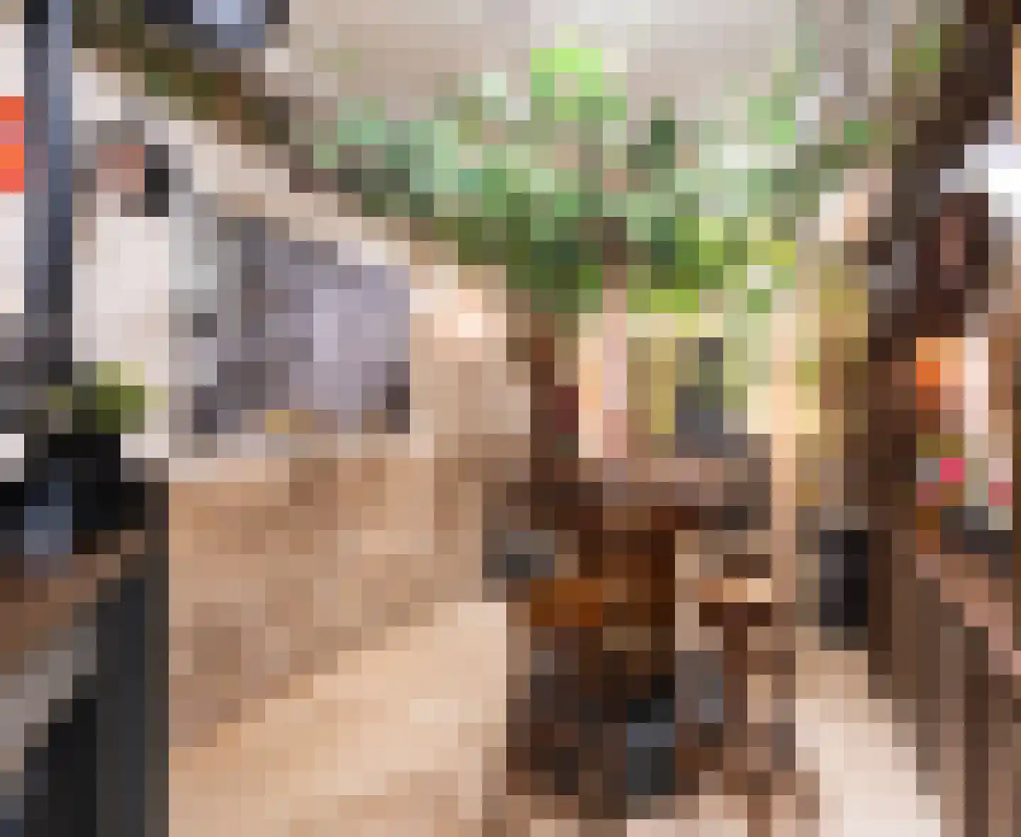 Stakenborgakker 48 Valkenswaard thumbnail 52