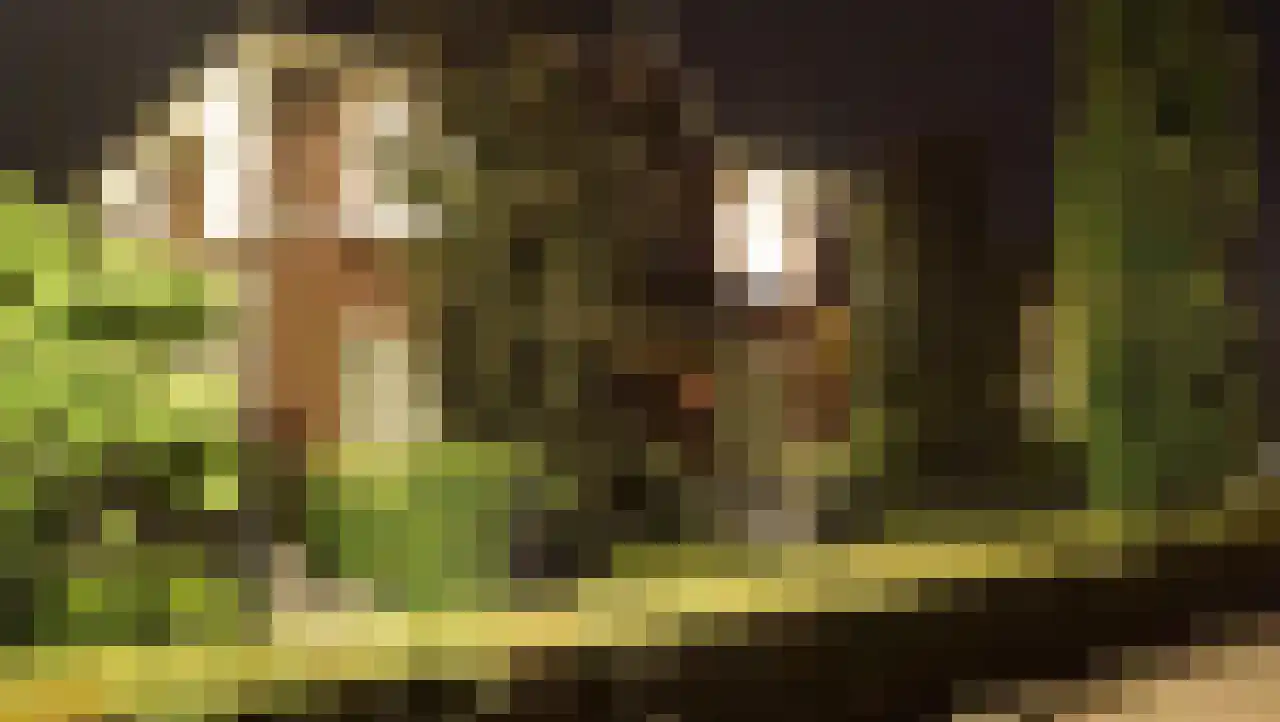 Stakenborgakker 48 Valkenswaard thumbnail 62