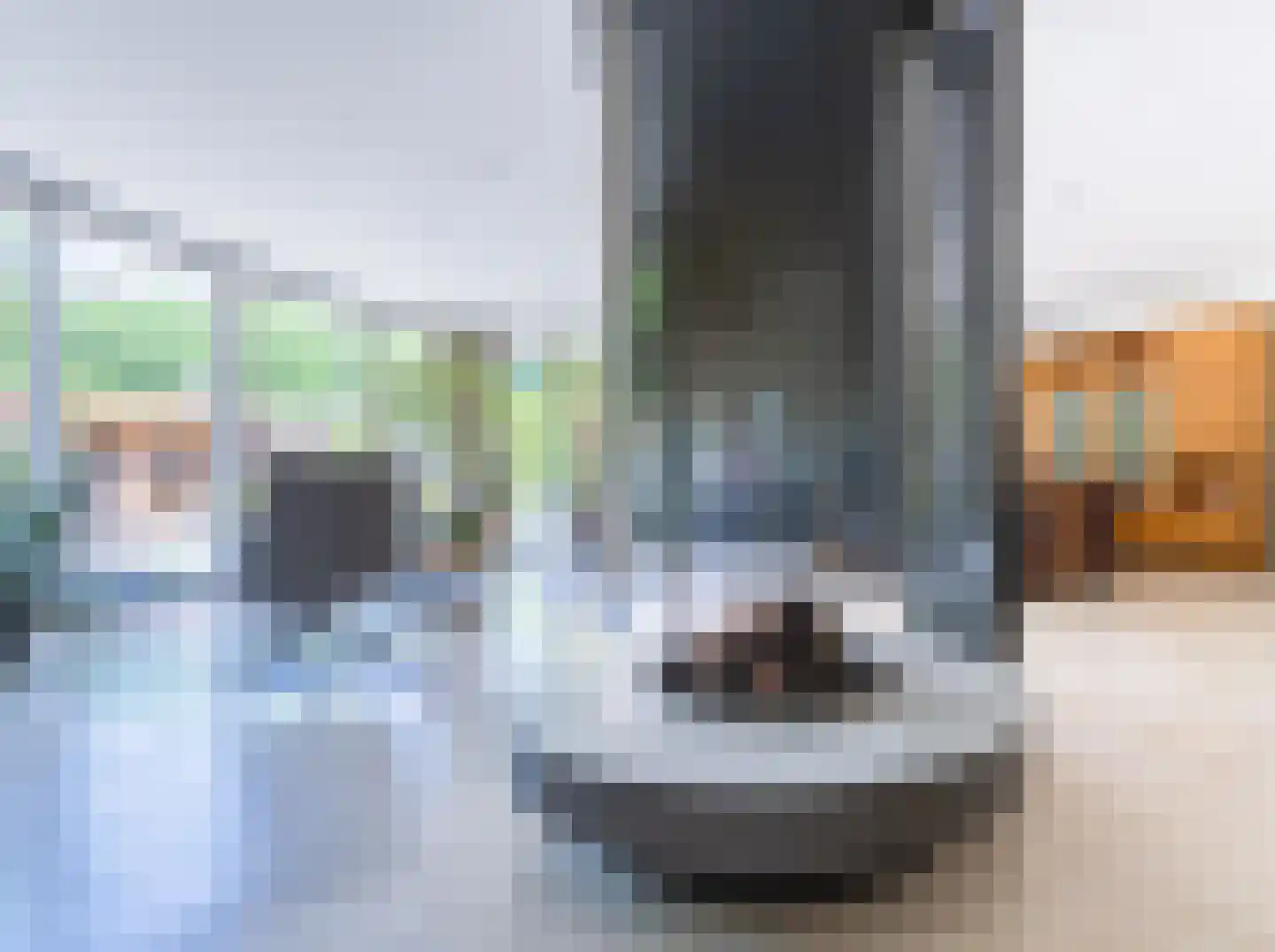 Stakenborgakker 48 Valkenswaard thumbnail 9