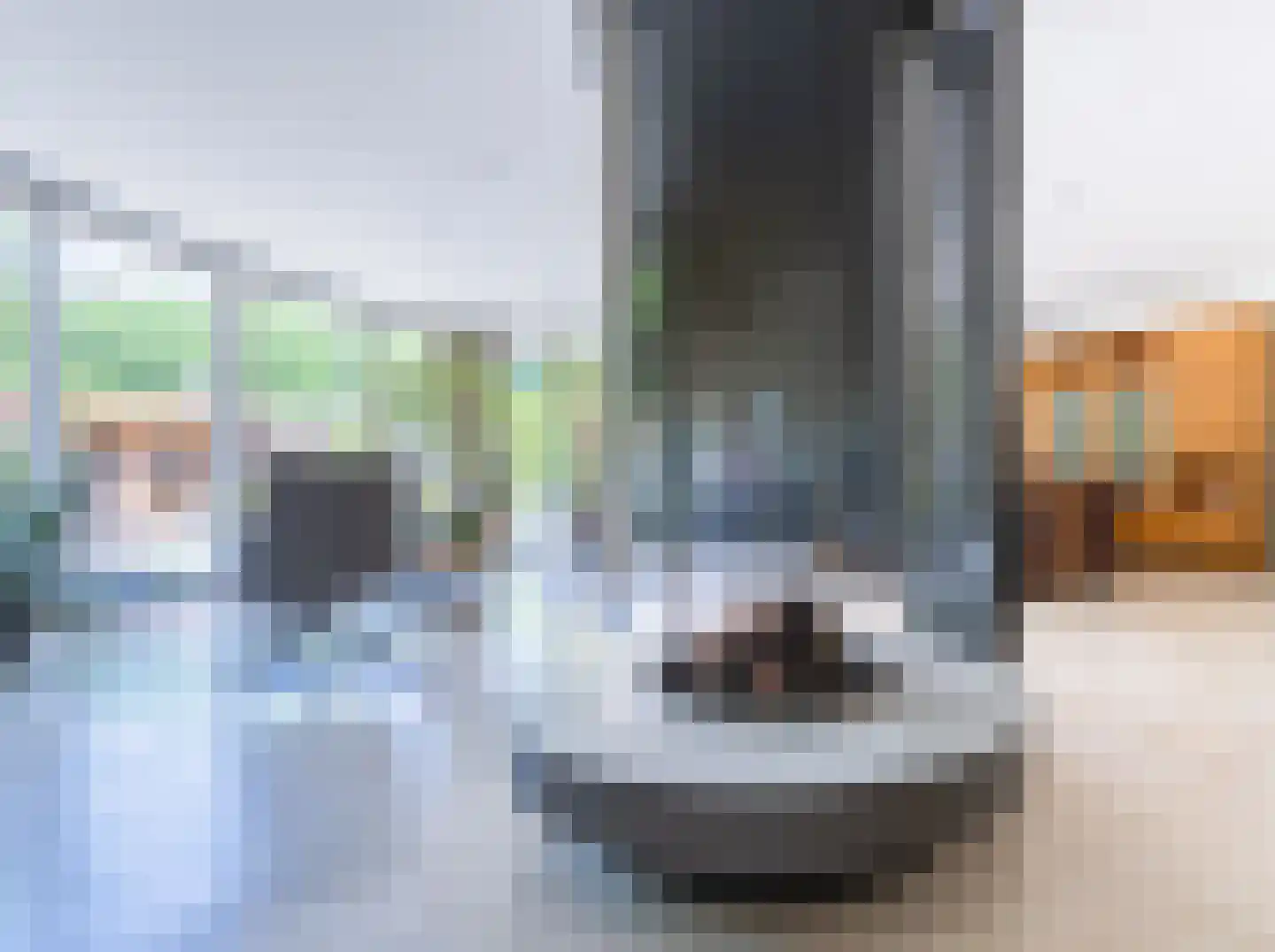 Stakenborgakker 48 Valkenswaard thumbnail 9