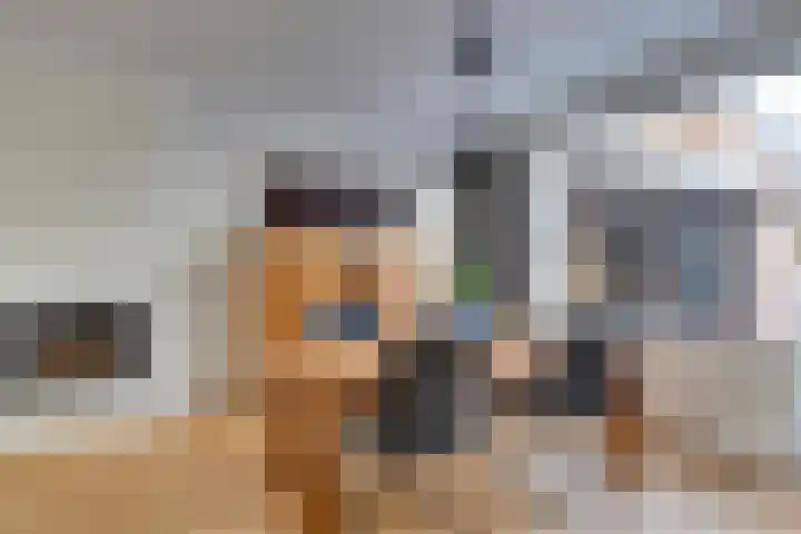 Stakenburgstraat 15 Son en Breugel thumbnail 13