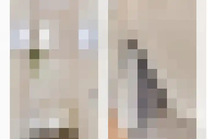 Stakenburgstraat 15 Son en Breugel thumbnail 21