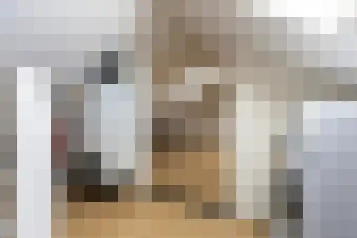 Stakenburgstraat 15 Son en Breugel thumbnail 35