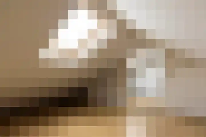 Stakenburgstraat 15 Son en Breugel thumbnail 37