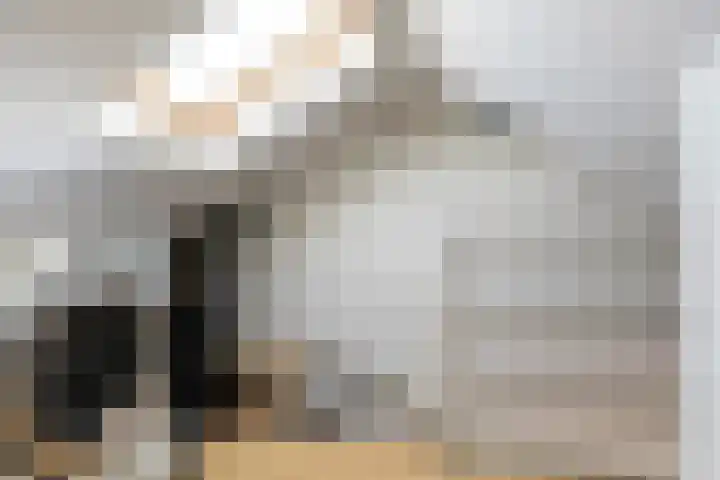 Stakenburgstraat 15 Son en Breugel thumbnail 38