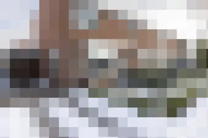 Stakenburgstraat 15 Son en Breugel thumbnail 47