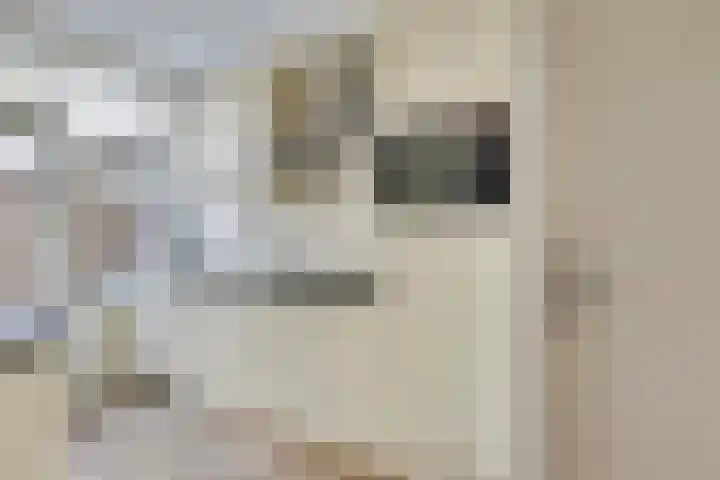 Stakenburgstraat 15 Son en Breugel thumbnail 9