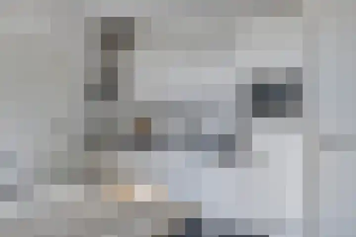 Stakenburgstraat 19 Son en Breugel thumbnail 8