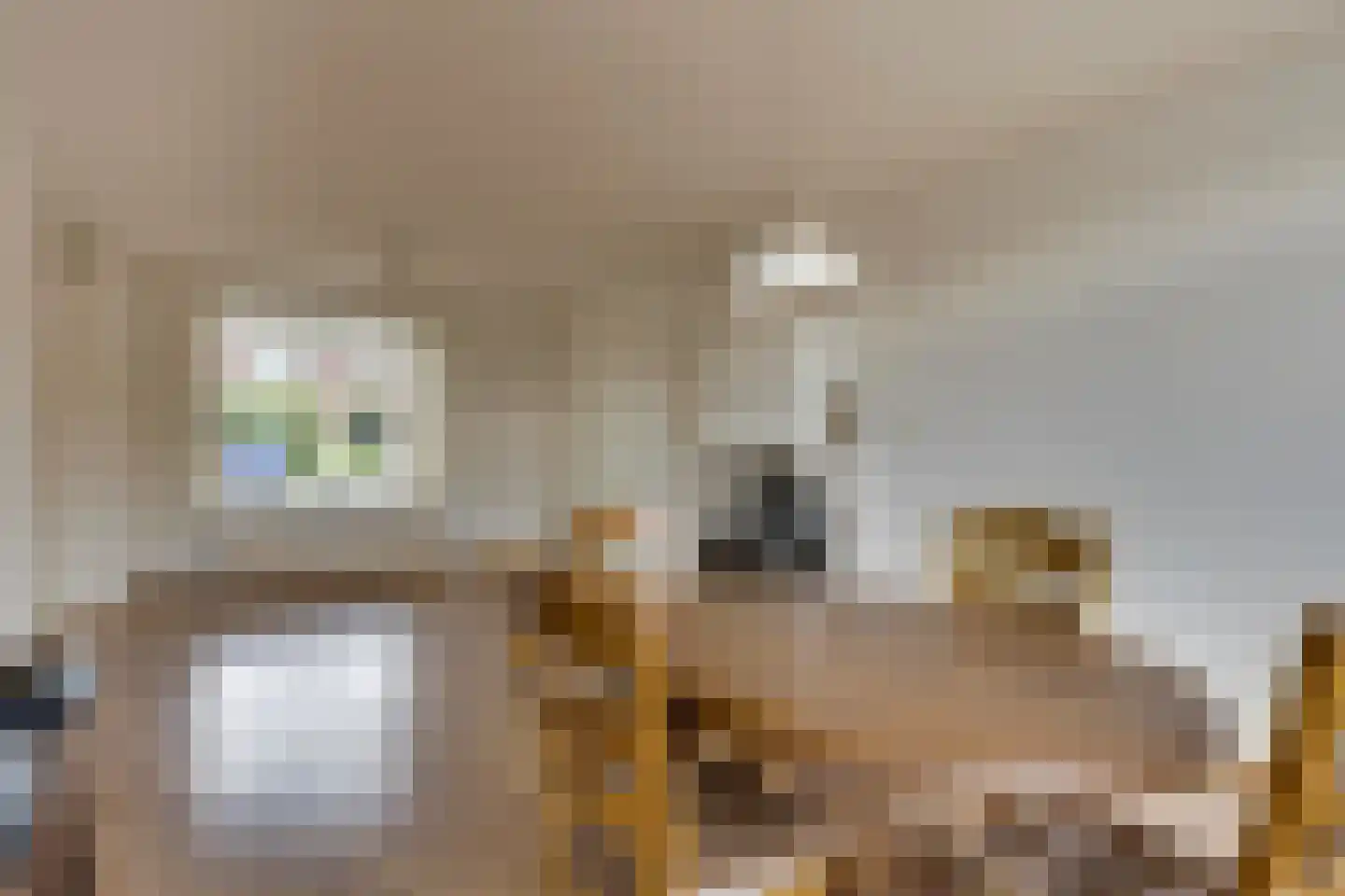 Stakenburgstraat 7 Son en Breugel thumbnail 11