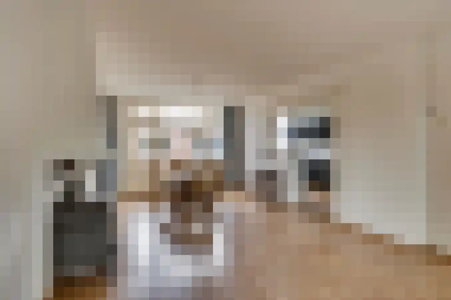 Stakenburgstraat 7 Son en Breugel thumbnail 14