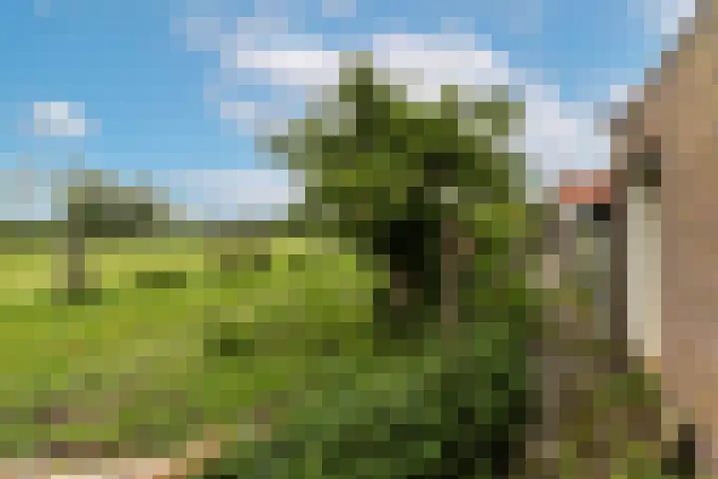 Stakenburgstraat 7 Son en Breugel thumbnail 43