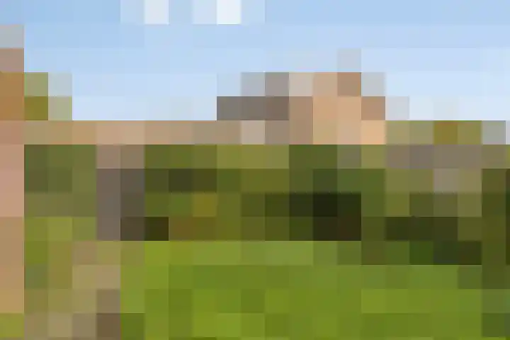 Stakenkamplaan 59 Oldenzaal thumbnail 35