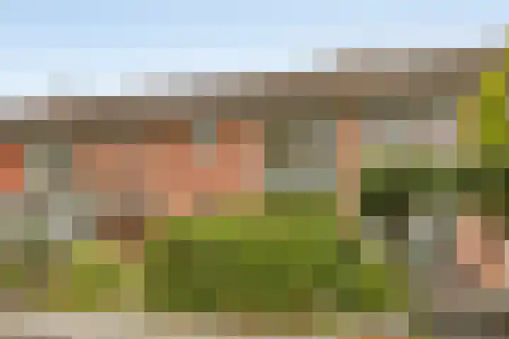 Stakenkamplaan 59 Oldenzaal thumbnail 39