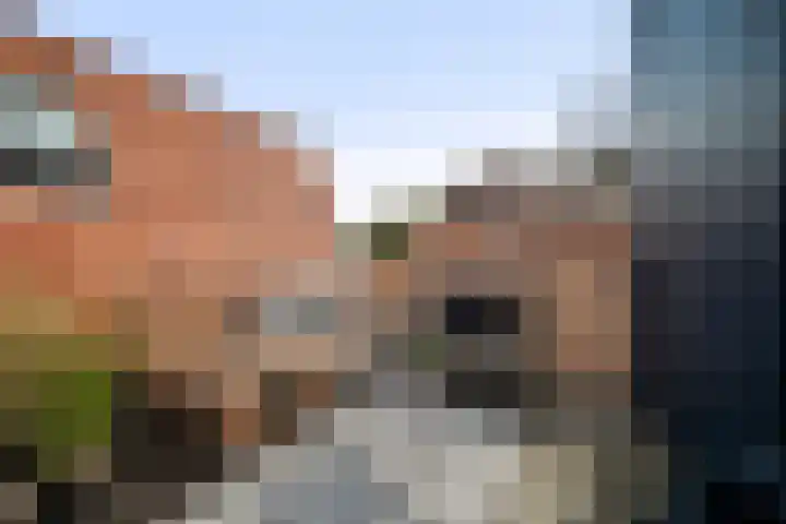 Stakman Bossestraat 34 Den Helder thumbnail 20