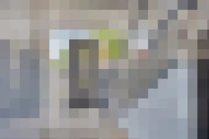 Stakman Bossestraat 41 Noordwijk thumbnail 5