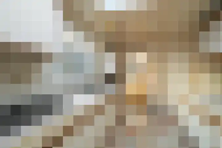 Stakman Bossestraat 44 Den Helder thumbnail 8