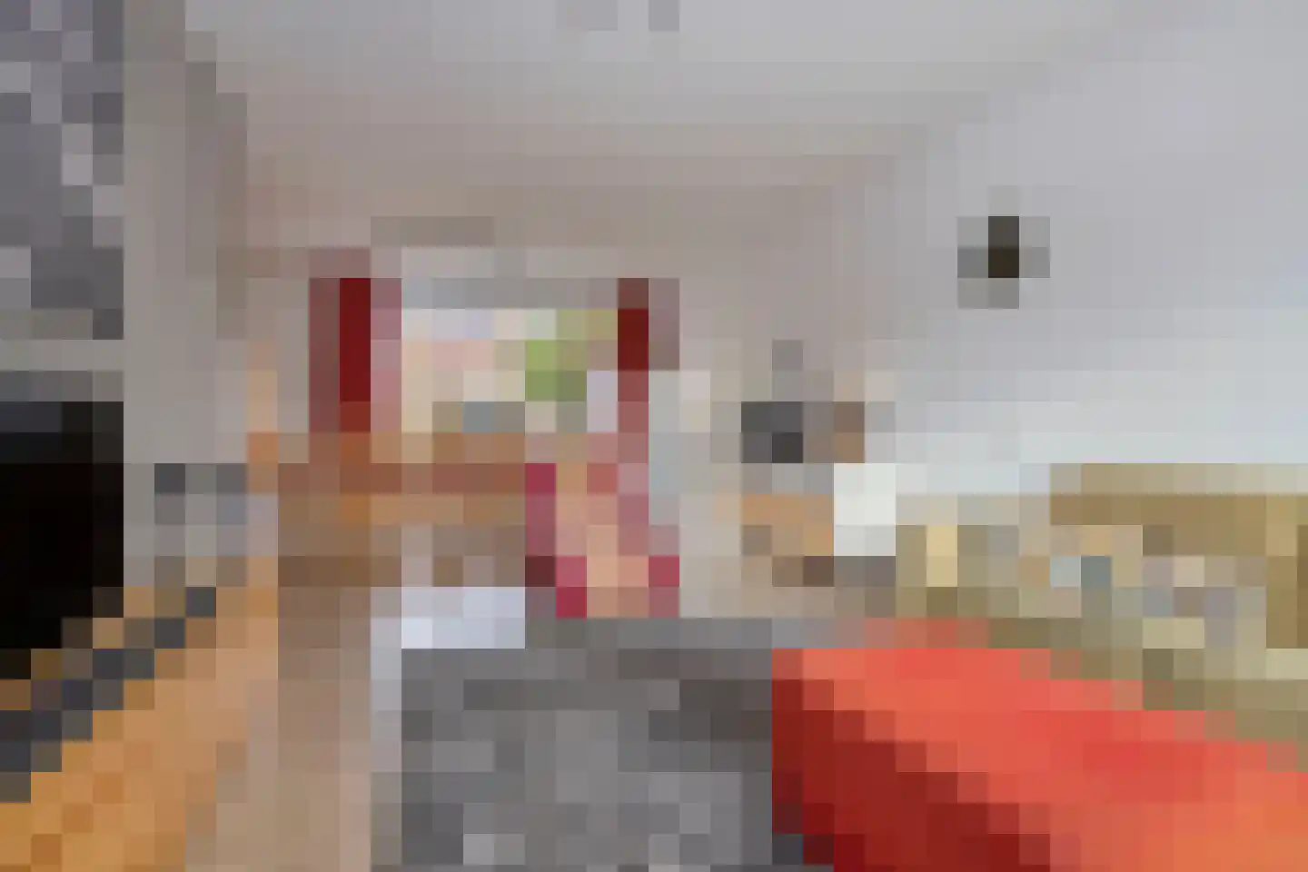 Stakman Bossestraat 46 Noordwijk thumbnail 15