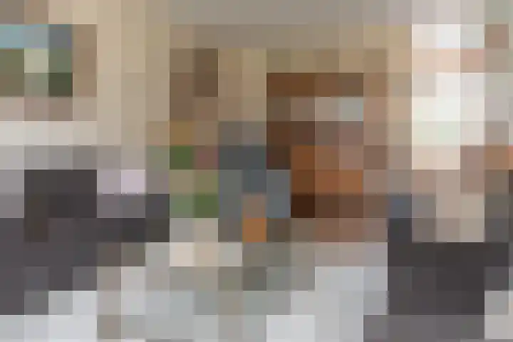 Stal 123 Drachten thumbnail 11