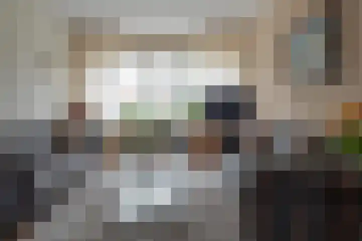 Stal 123 Drachten thumbnail 12