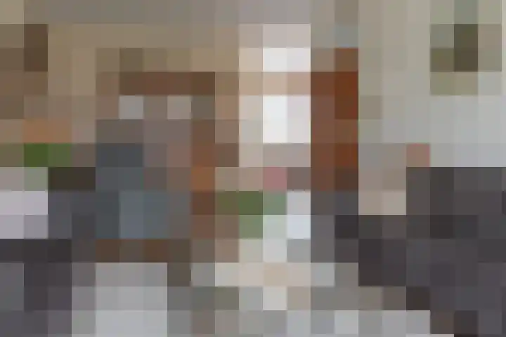 Stal 123 Drachten thumbnail 13