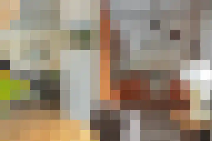 Stal 123 Drachten thumbnail 16