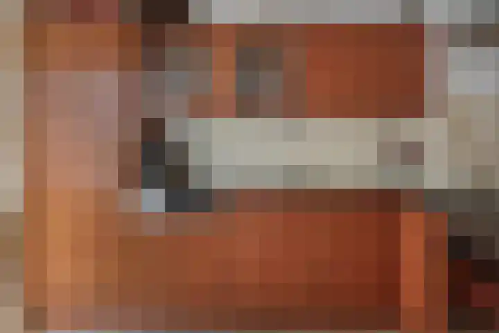 Stal 123 Drachten thumbnail 18