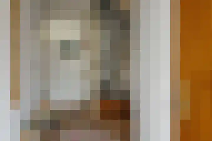 Stal 123 Drachten thumbnail 22