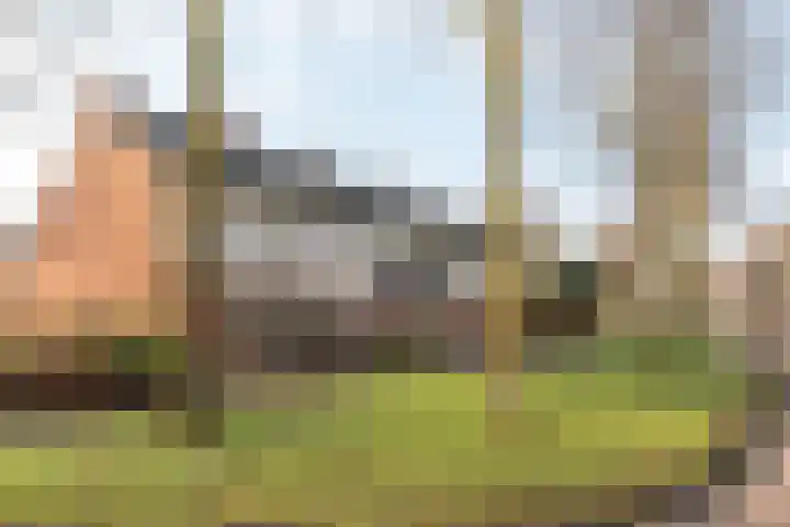 Stal 123 Drachten thumbnail 4