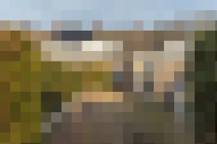 Stal 123 Drachten thumbnail 5