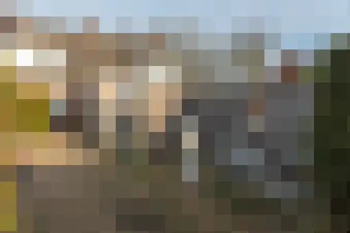 Stal 123 Drachten thumbnail 6