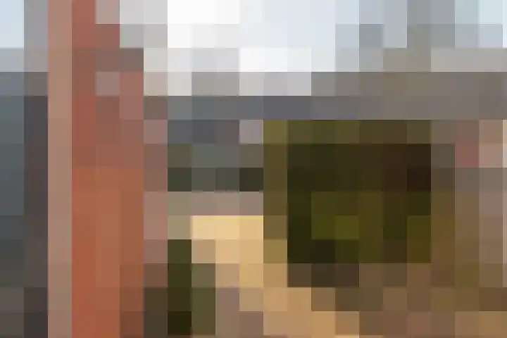 Stal 123 Drachten thumbnail 7