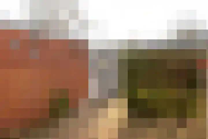 Stal 123 Drachten thumbnail 8