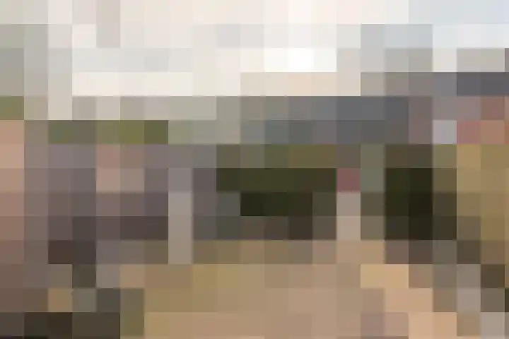Stal 123 Drachten thumbnail 9