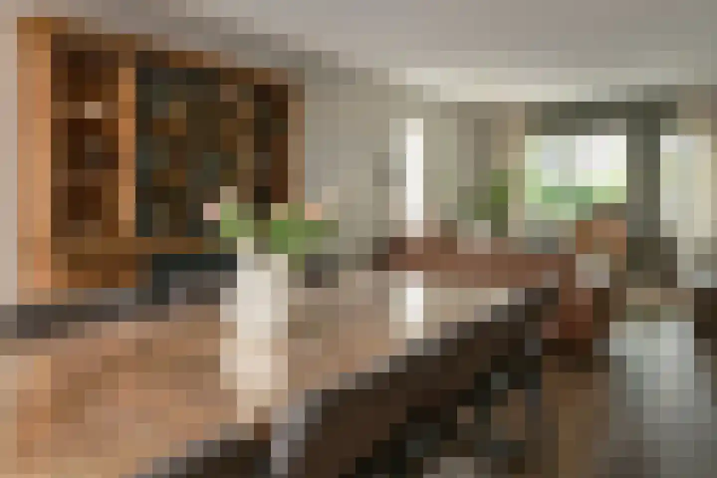 Stal 152 Drachten thumbnail 17