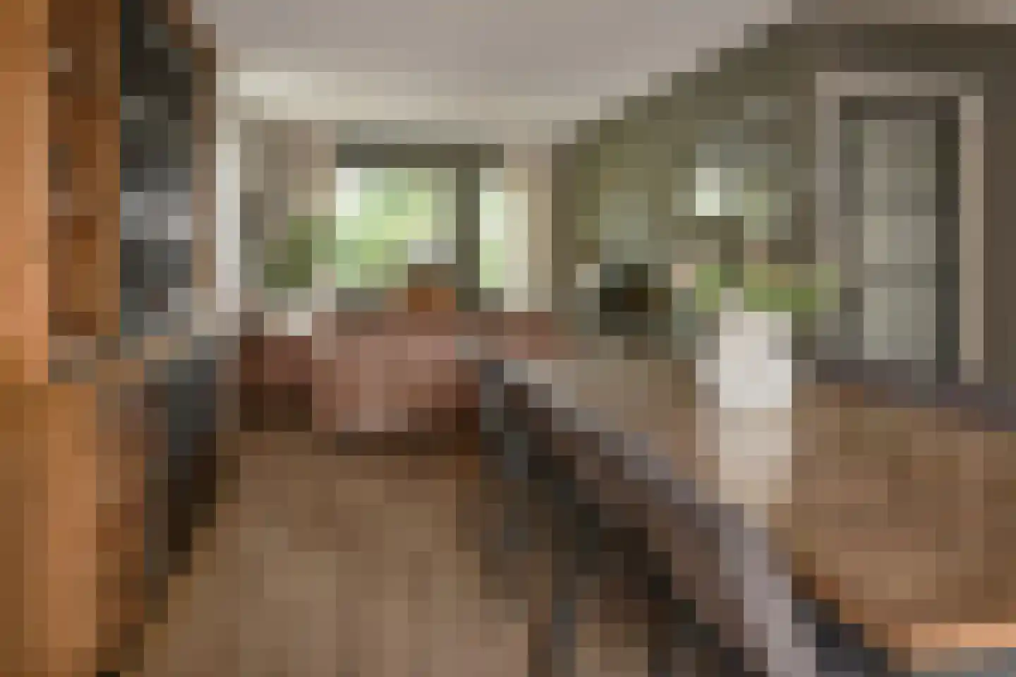 Stal 152 Drachten thumbnail 21
