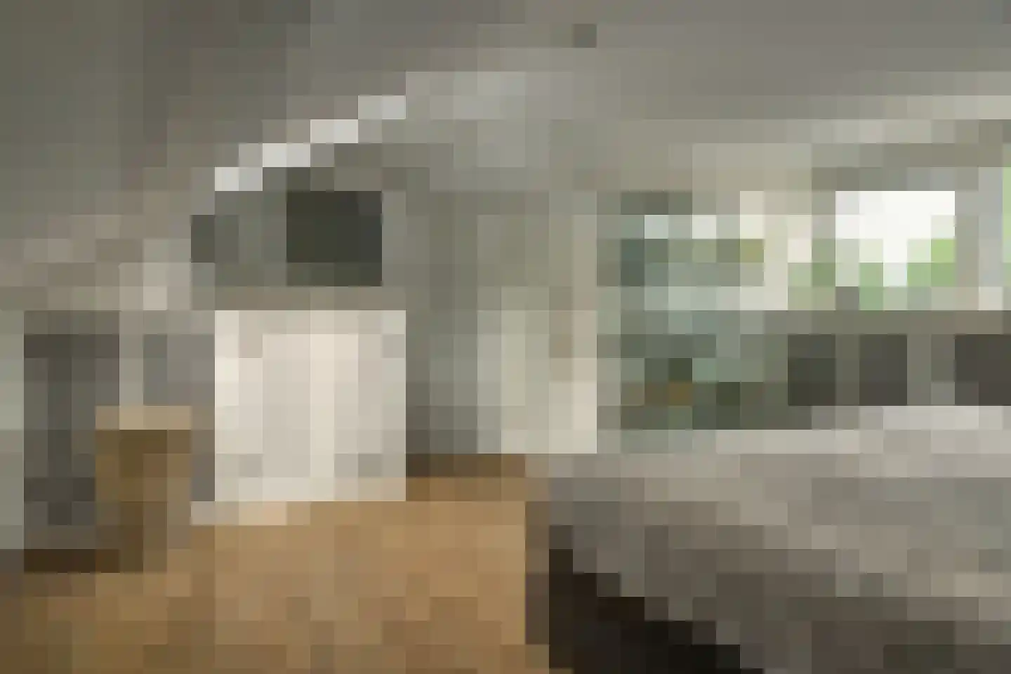 Stal 152 Drachten thumbnail 35