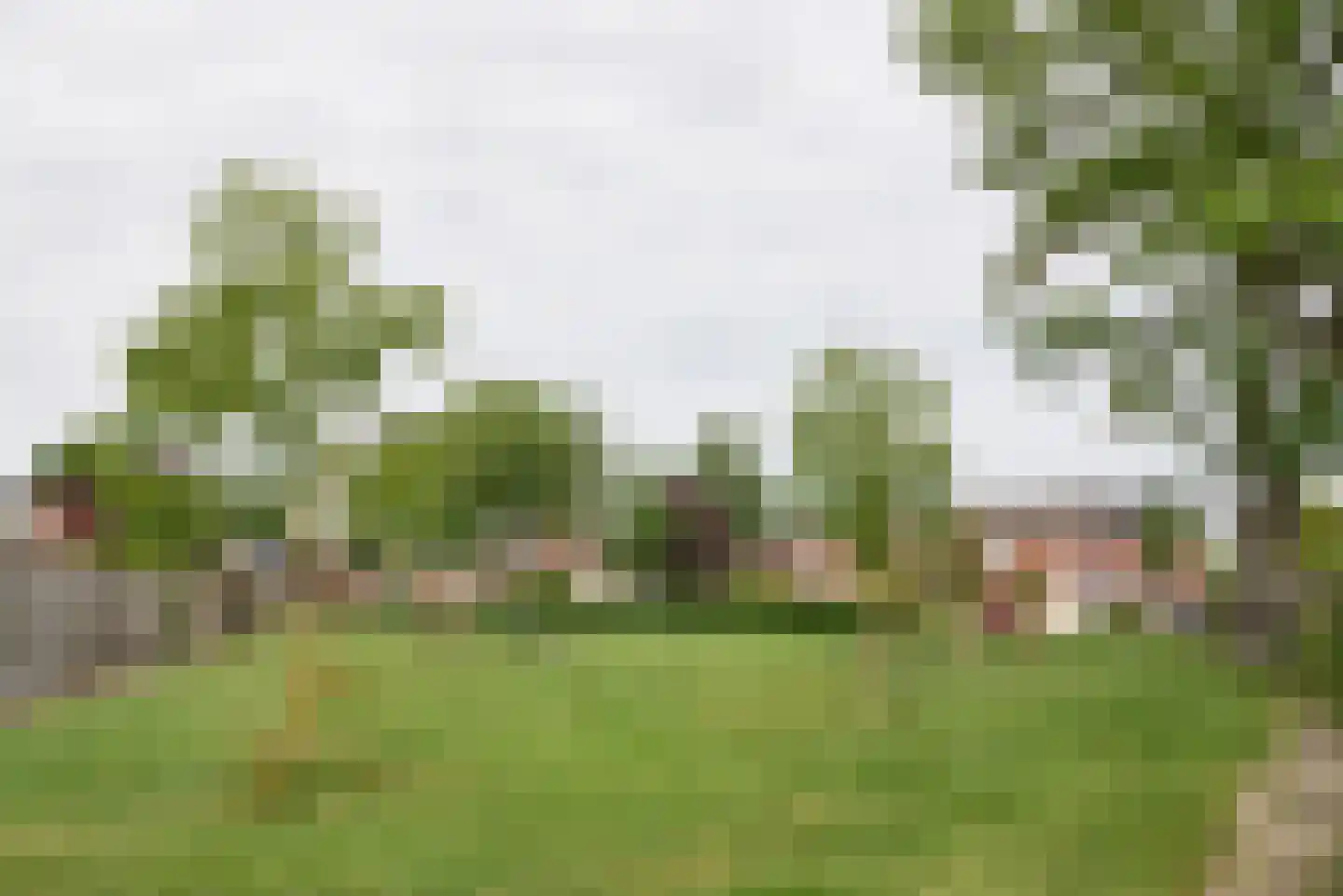 Stal 152 Drachten thumbnail 42