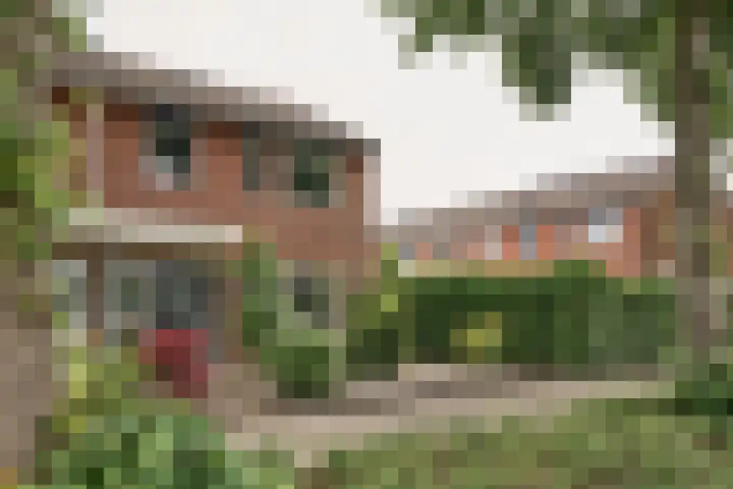 Stal 152 Drachten thumbnail 5