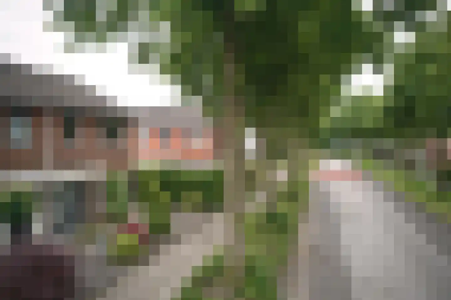 Stal 152 Drachten thumbnail 9