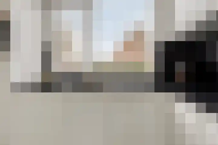 Stal 175 Drachten thumbnail 10