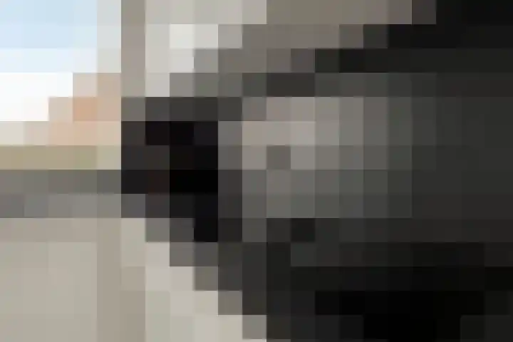 Stal 175 Drachten thumbnail 12