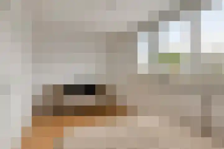 Stal 175 Drachten thumbnail 18