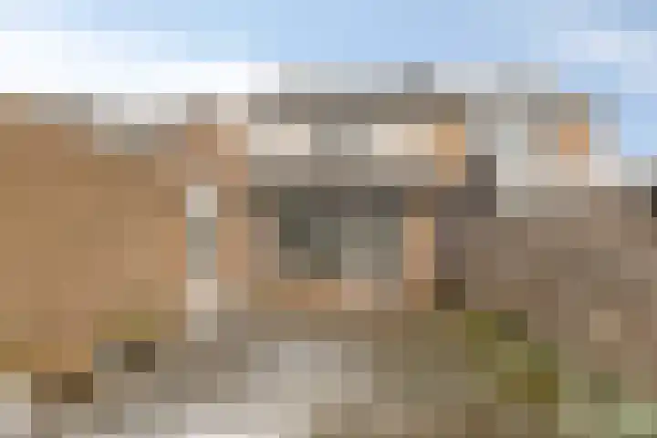 Stal 175 Drachten thumbnail 27