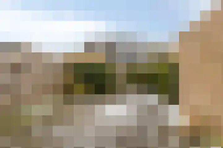 Stal 175 Drachten thumbnail 28